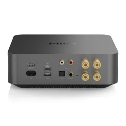 Wiim Amp Pro – תמונה 2