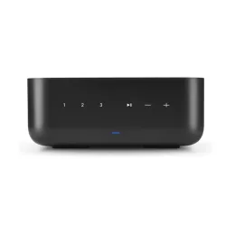 Denon Home Amp
