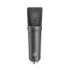 Neumann U 89 I Large Diaphragm Microphone