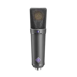 Neumann U 89 I Large Diaphragm Microphone