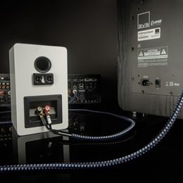 ⁦כבל אודיו RCA זכר ל-RCA זכר SVS SoundPath  Interconnect - אורך 8 מטר⁩ – תמונה ⁦3⁩