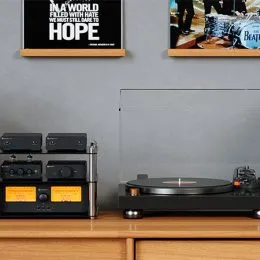 ⁦Fosi Audio V3 Mono Combo⁩ – תמונה ⁦5⁩