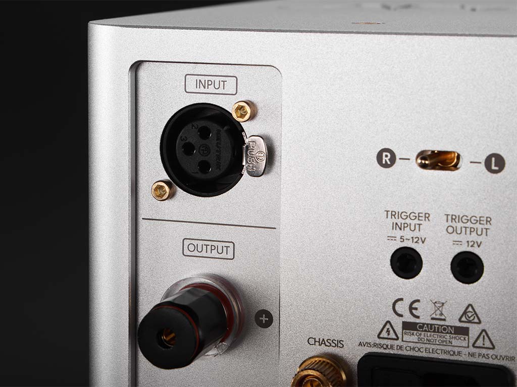 Laiv HARMONY GaNM מגבר סטריאו מונובלוק – תמונה 8