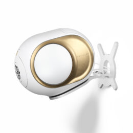 Gecko Phantom White